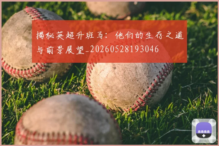 揭秘英超升班马：他们的生存之道与前景展望_20260528193046