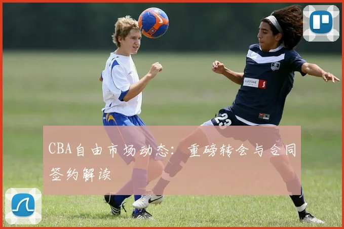 CBA自由市场动态：重磅转会与合同签约解读